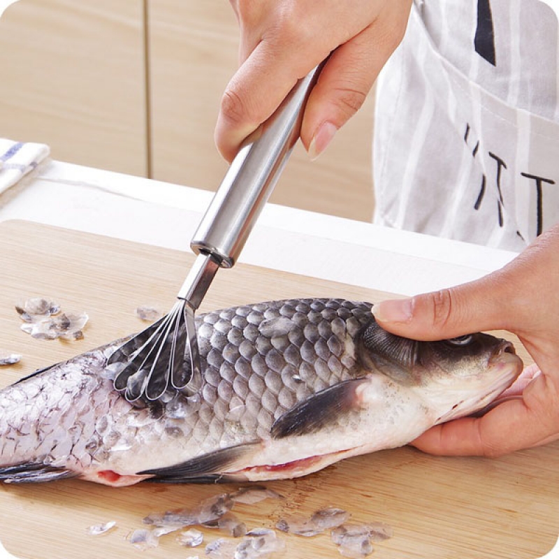 Dụng cụ đánh vẩy cá